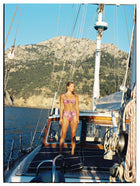 The Rose Bottom - Paisley